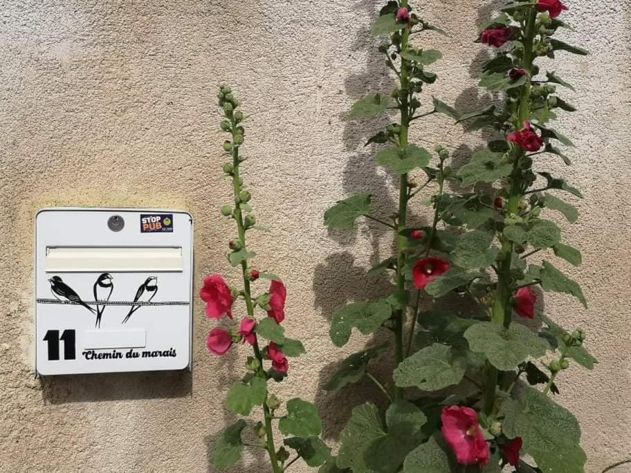 Bienvenue à la Teranga proche de La Rochelle Apartamento Nuaille-d'Aunis Exterior foto
